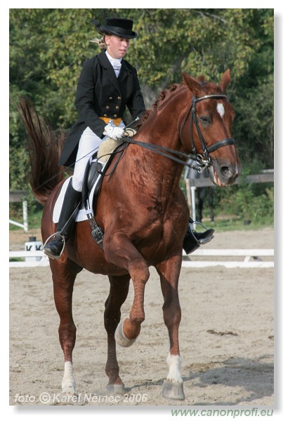 Drezúra - Dressage 2006