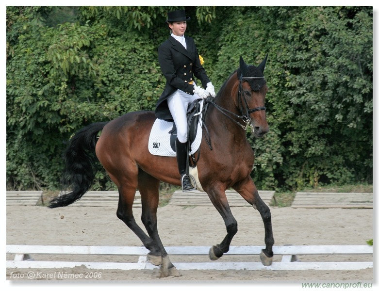 Drezúra - Dressage 2006