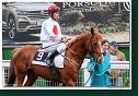 8. dostihy - Cena Tantry