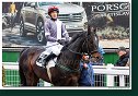 8. dostihy - Cena Tantry