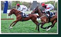 8. dostihy - Cena Tantry