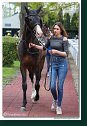 5. dostihy - Cena Rosensturma