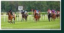 9. dostihy - Cena Fiorentie