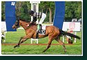 9. dostihy - Cena Fiorentie