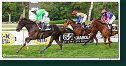 9. dostihy - Cena Fiorentie