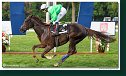 9. dostihy - Cena Fiorentie