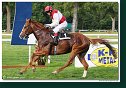 9. dostihy - Cena Fiorentie