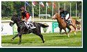 Cena spoločnosti Vimar - pony nad 135 cm