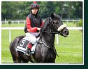 Cena spoločnosti Vimar - pony nad 135 cm