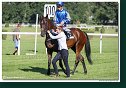 7. dostihy - 29. Zlatý pohár spoločnosti RIGIPS