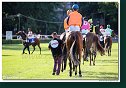8. dostihy - 30. Slovenské derby spoločnosti MPL