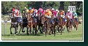 8. dostihy - 30. Slovenské derby spoločnosti MPL
