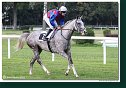 6. dostihy - Cena turfu spoločnosti ITP Control