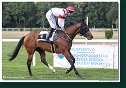 6. dostihy - Cena turfu spoločnosti ITP Control