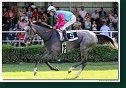 7. dostihy - Cena Whisky