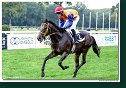 9. dostihy - Cena Petite Sirene