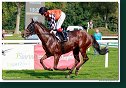 6. dostihy - 29. Cena zimnej kráľovnej