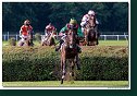 7. dostihy - Veľká starohájska steeplechase spoločnosti BRUDA
