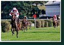 7. dostihy - Veľká starohájska steeplechase spoločnosti BRUDA