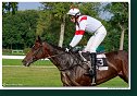 7. dostihy - Veľká starohájska steeplechase spoločnosti BRUDA