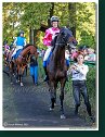 8. dostihy - Slovenský St. Leger DRAG CONSULTING s.r.o.