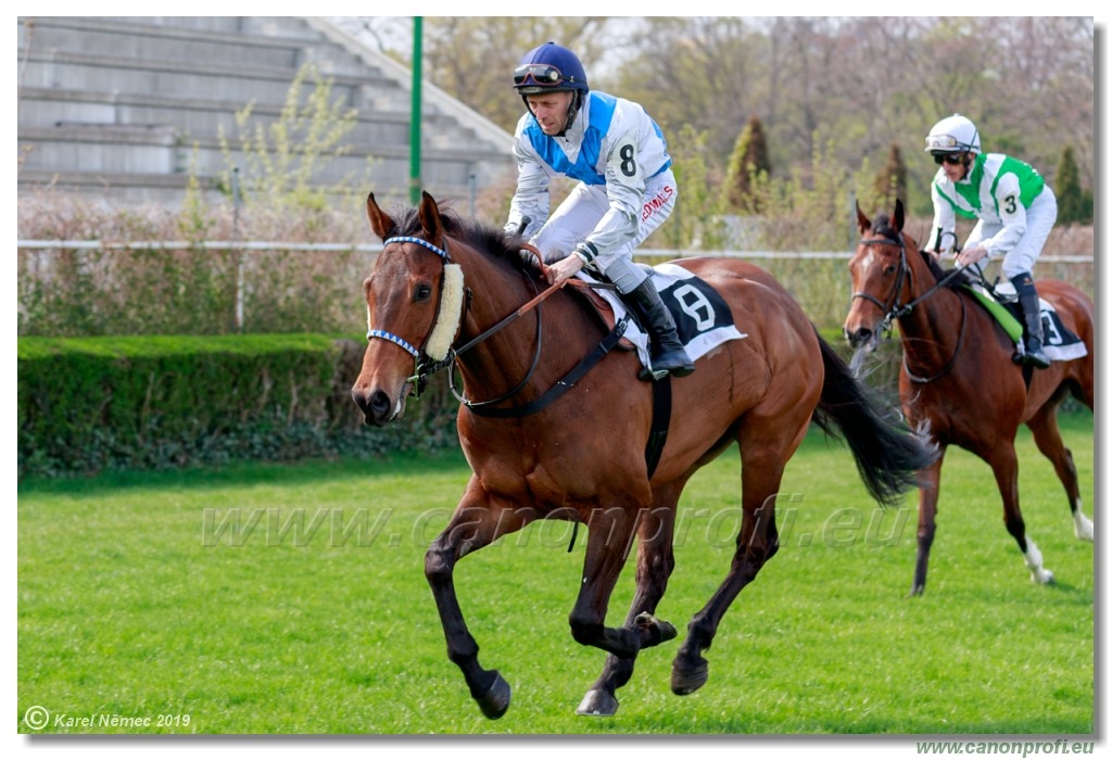 Bratislava - 07. apríla 2019