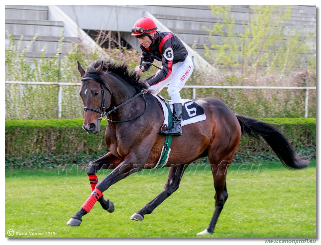 Bratislava - 07. apríla 2019