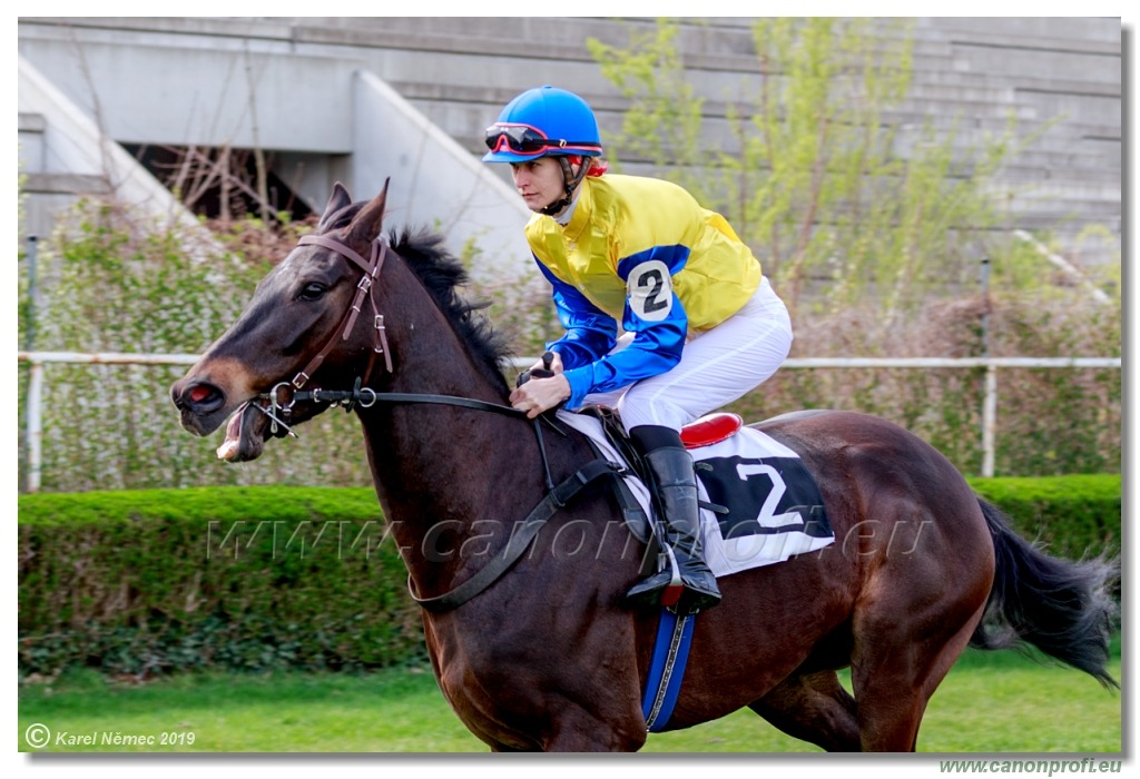 Bratislava - 07. apríla 2019