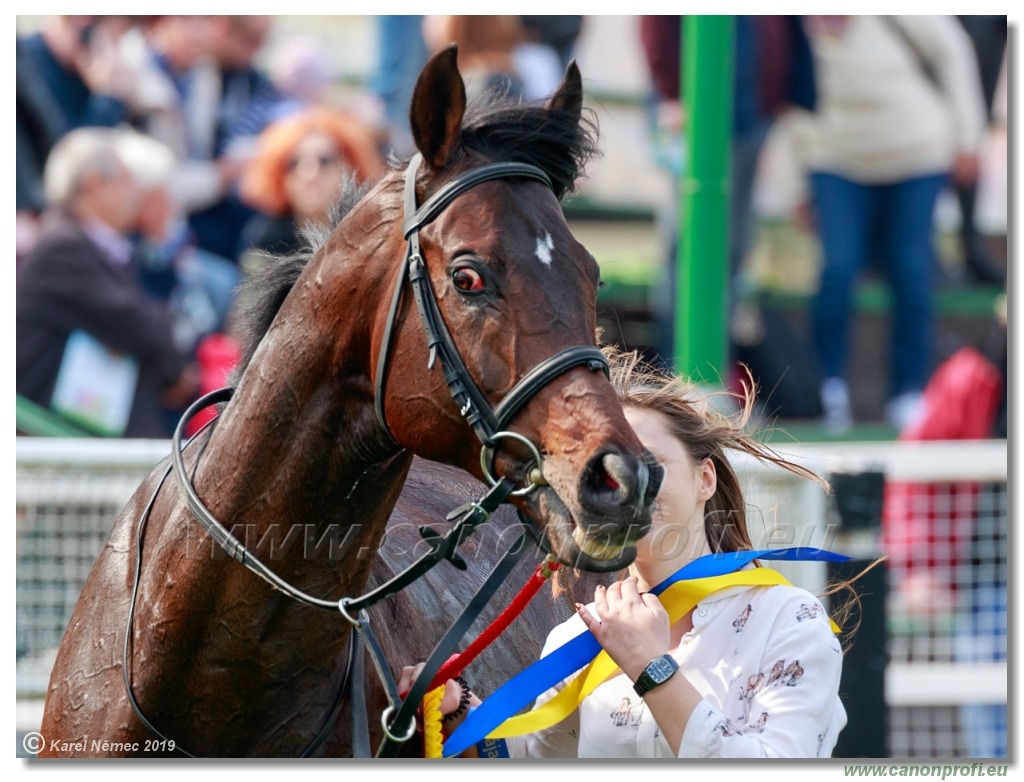 Bratislava - 07. apríla 2019
