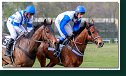 dostih č. 7 - 46. Jarná cena Petržalky