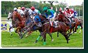 dostih č. 6 - 27. Jarná cena kobýl