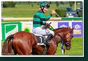dostih č. 4 - 35. Starohájske kritérium