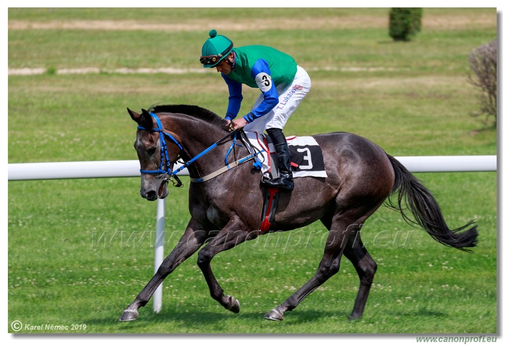 Bratislava - 14. júla 2019