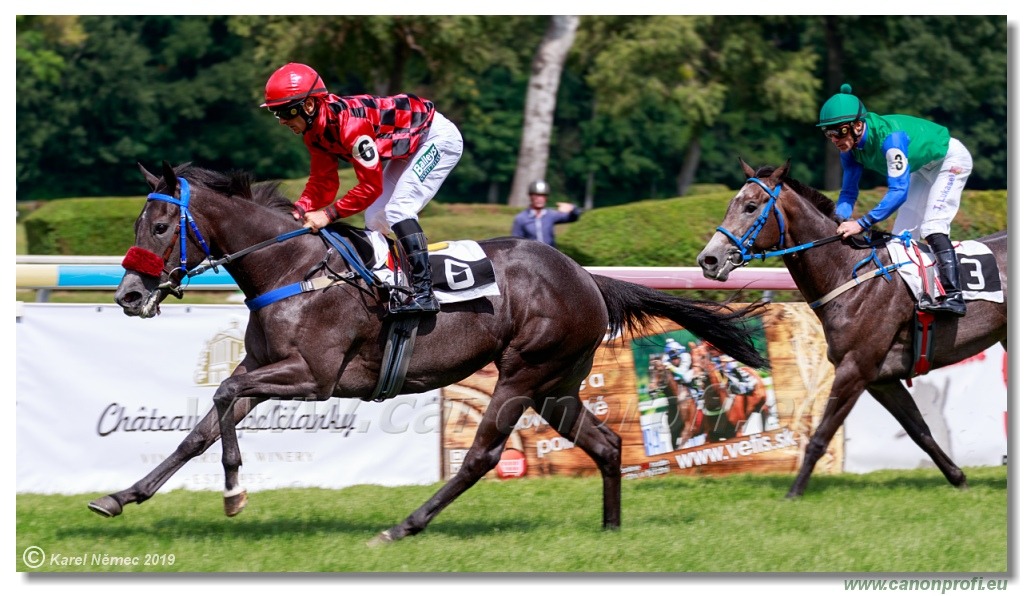 Bratislava - 14. júla 2019