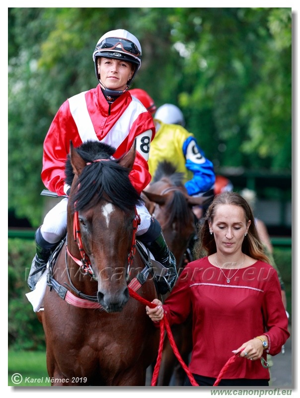 Bratislava - 14. júla 2019