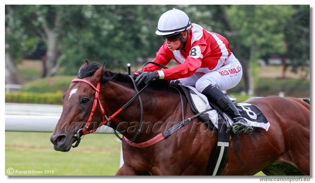 Bratislava - 14. júla 2019