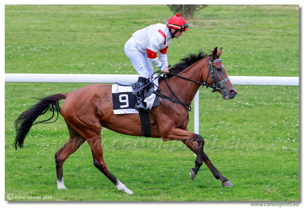 Bratislava - 14. júla 2019