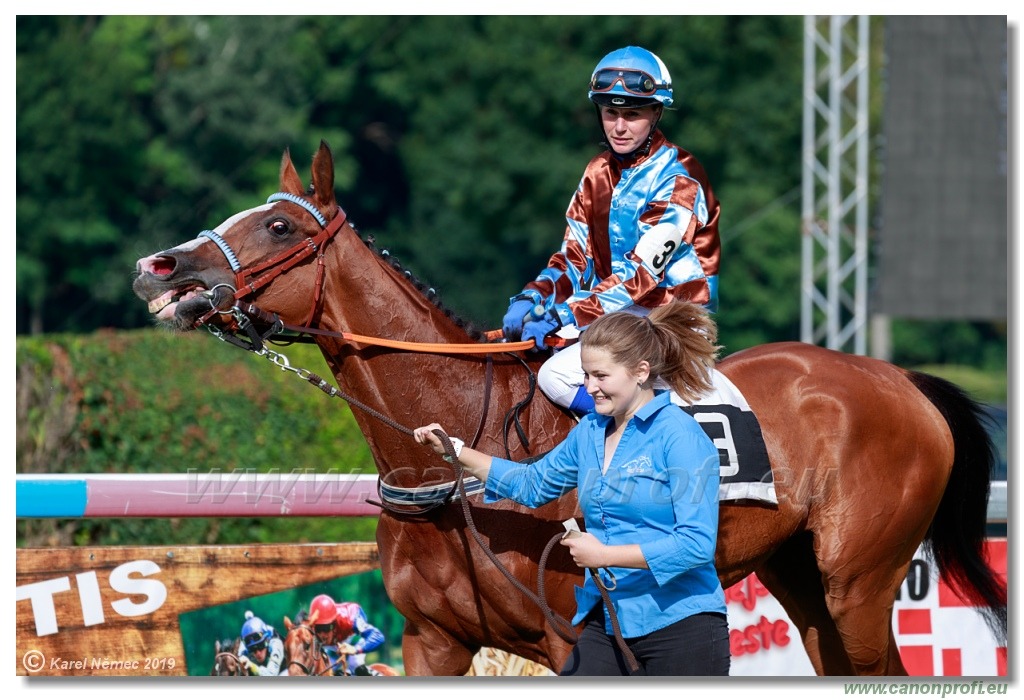 Bratislava - 14. júla 2019
