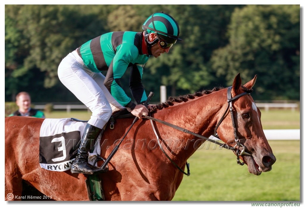 Bratislava - 14. júla 2019