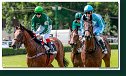 dostih č. 2 - 27. Cena Muscatita