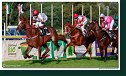 dostih č. 8 - 27. Slovenské derby