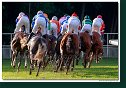 dostih č. 8 - 27. Slovenské derby
