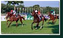 dostih č. 8 - 27. Slovenské derby