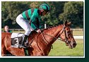 dostih č. 8 - 27. Slovenské derby