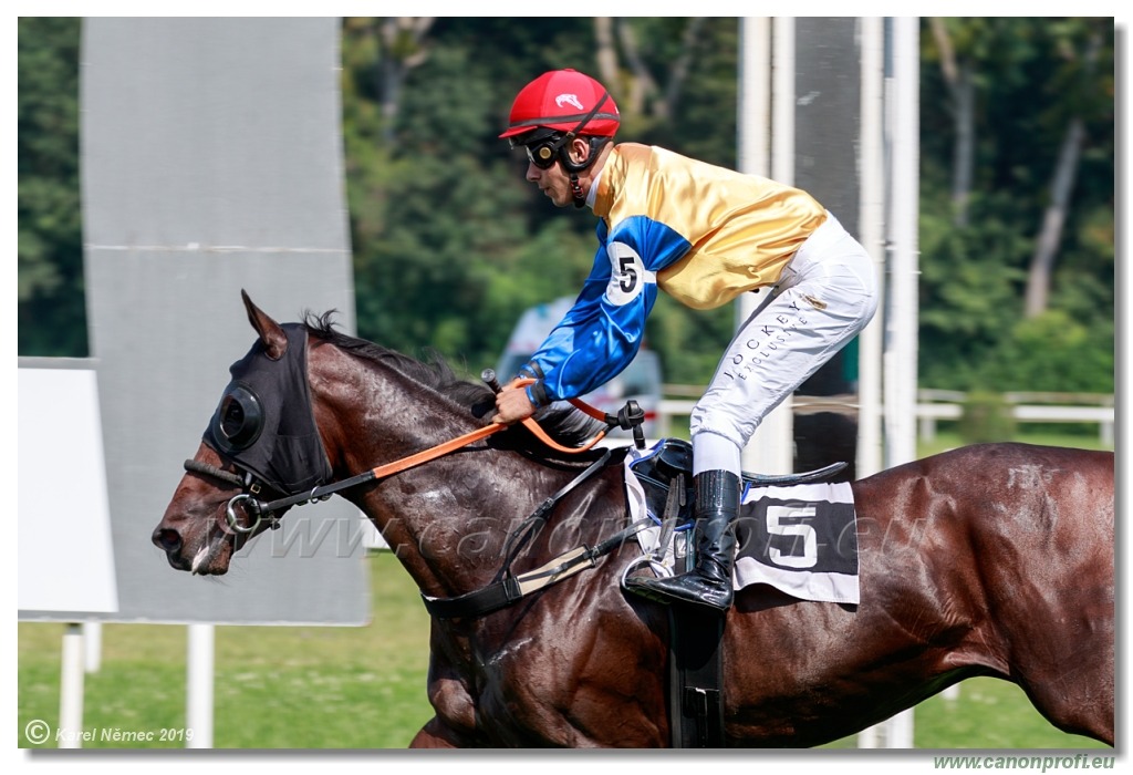 Bratislava - 1. septembra 2019