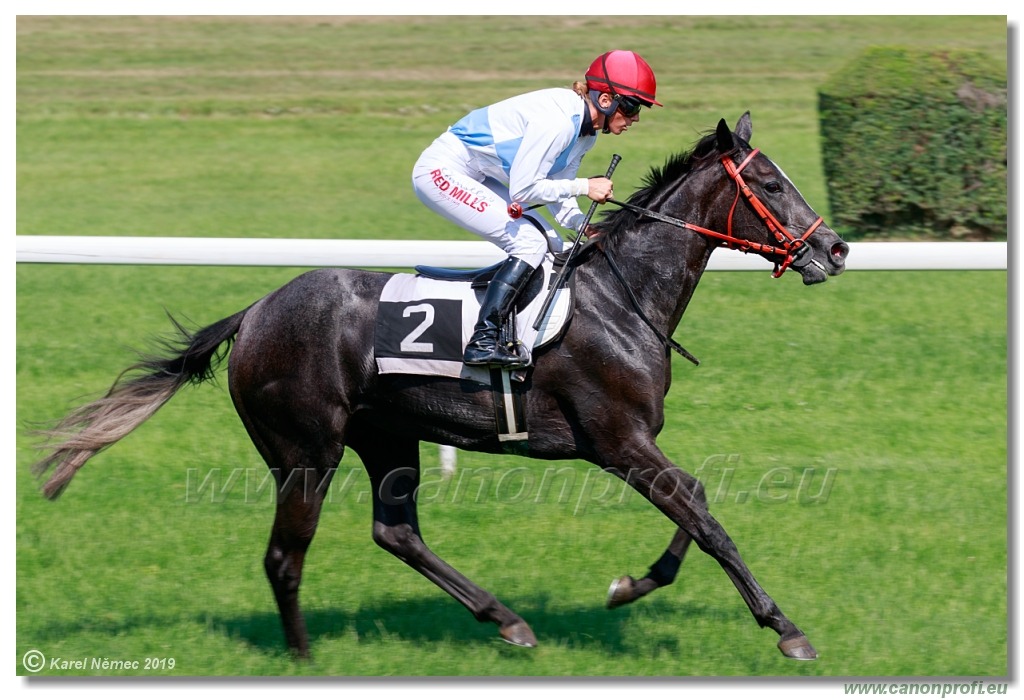 Bratislava - 1. septembra 2019