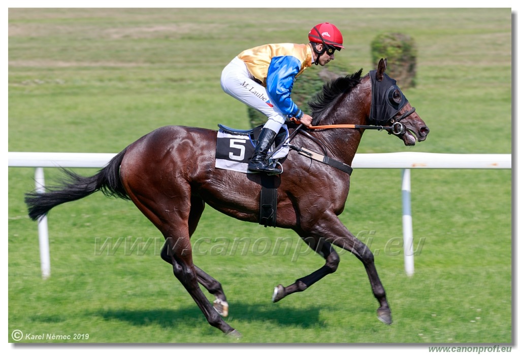 Bratislava - 1. septembra 2019