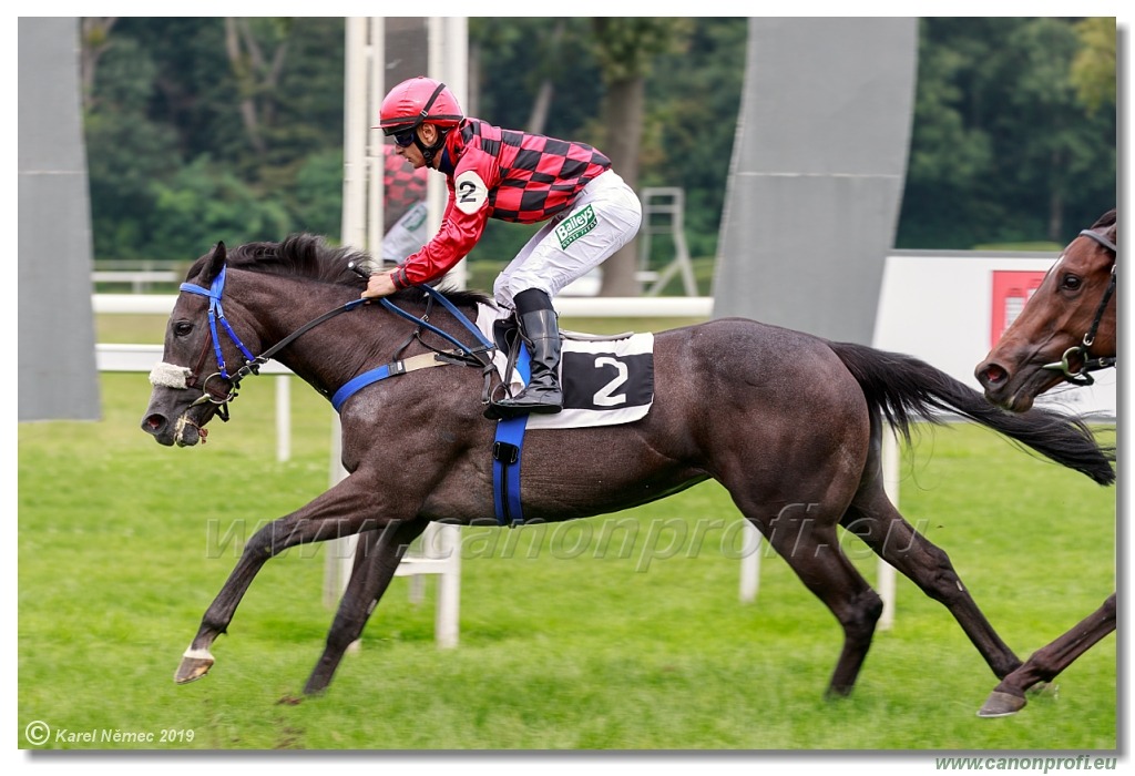 Bratislava - 1. septembra 2019