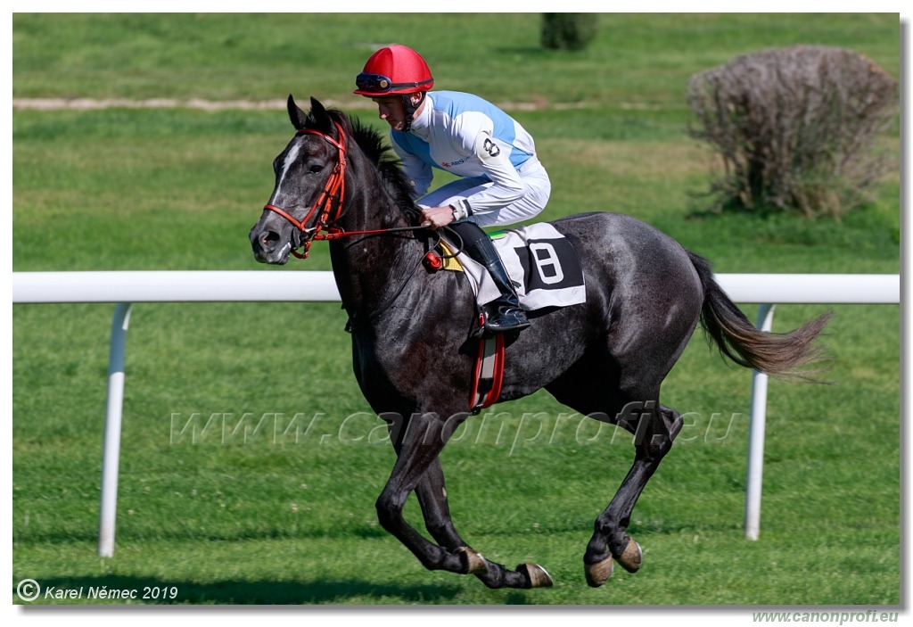 Bratislava - 15. septembra 2019
