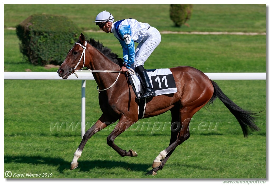 Bratislava - 15. septembra 2019